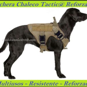 Perchera Chaleco Tactica Entrenamiento razas Medianas - Grandes